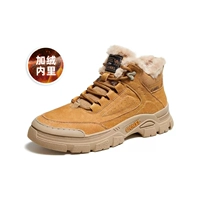 G13W342071 Camel (Mao Li)