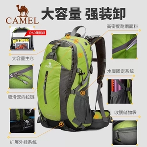 CAMEL骆驼户外登山包大容量男轻便徒步运动旅游包女双肩背包旅行