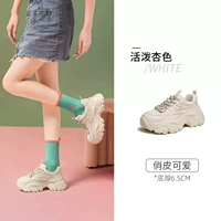 L23S703121, абрикосовый цвет, [четыре сезона]