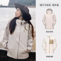 【Тибетская True Three Defense】 A23CATR057, Oak Ash, Женская модель