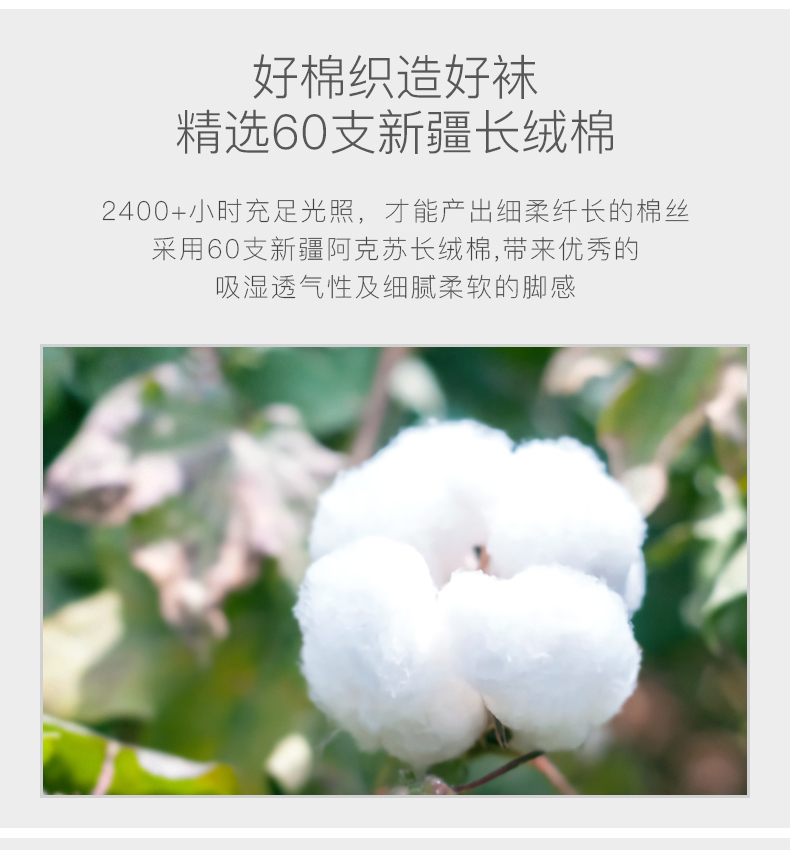 Lạc đà kháng khuẩn và khử mùi thấm hút mồ hôi thể thao vớ bốn mùa vớ thể dục nam chạy vớ cotton 6 đôi - Vớ thể thao tất dài đến đầu gối