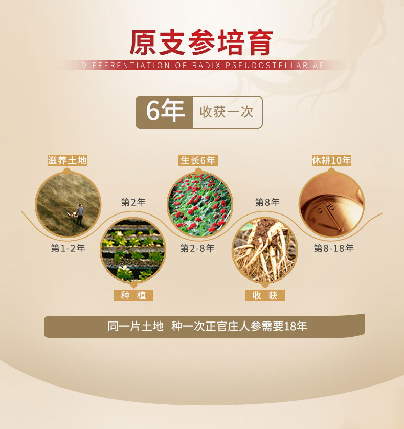 神价格 韩国 正官庄 6年根高丽原支良参 50支37.5g 图9