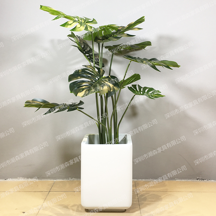ins Nordic simulation green plant large ground false tree plant indoor potted decoration tortoise back taro flower pot suit