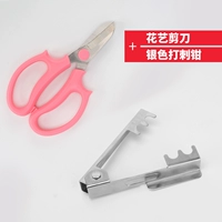 Серебряные шипы+разрез цветов