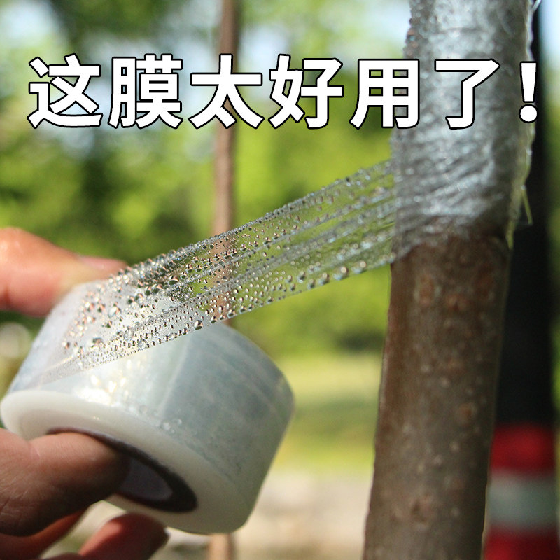 Grafting film wound film grafting special plastic film self-adhesive grafting scissors transparent stretching film insulation film