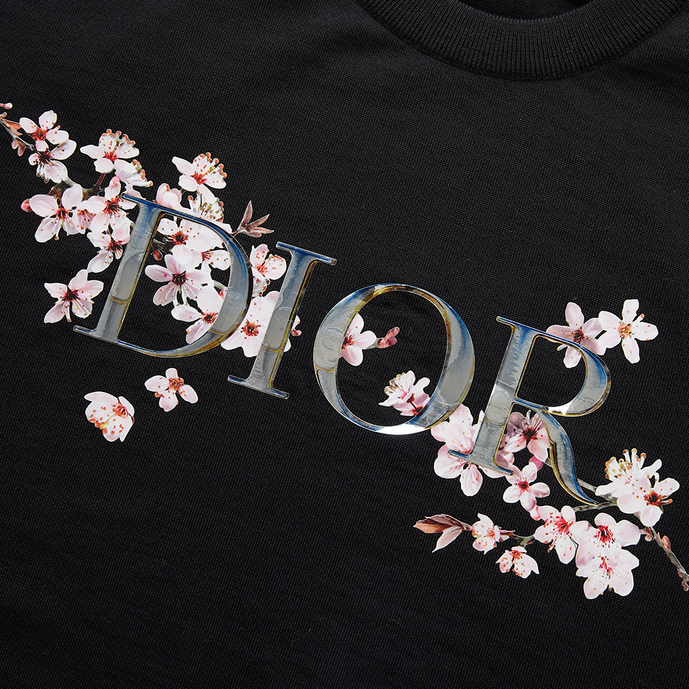 Dior Homme Dior Black Sheep tóc Cherry Blossom LOGO Vòng cổ hàng dệt kim dài tay nam.