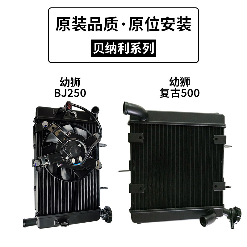 Suitable for Bellini Lion cub BJ 250 500 800 locomotive water tank assembly water-cooled radiator original factory