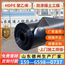 HDPE geomembrane high density polyethylene pe black film anti-seepage membrane for landfill biogas pond fish pond breeding