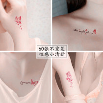 Tattoo stickers waterproof female long-lasting clavicle sexy chest net red ankle simulation letters female private parts are not semi-permanent