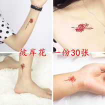 Bana tattoo stickers waterproof female long-lasting ins wind net red Korean simulation clavicle scar cover sexy hands are not permanent