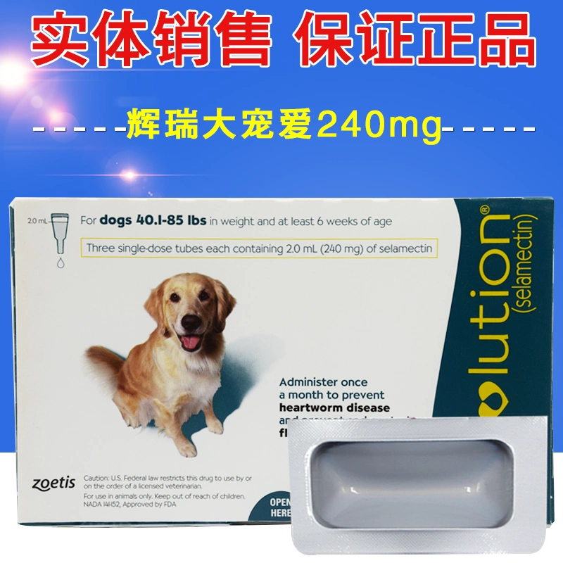 Pfizer Big Pamper 240mg chó và mèo trong ống nghiệm chống giun in vitro trừ ve bọ chét bọ chét - Cat / Dog Medical Supplies