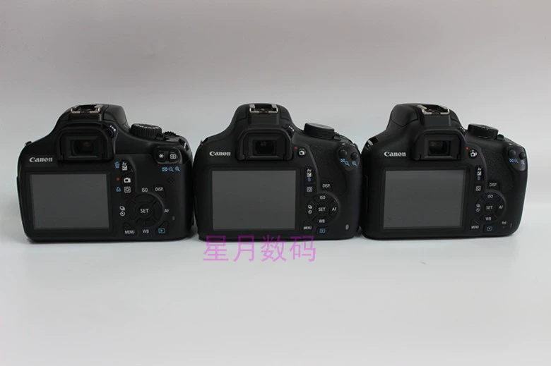 Máy ảnh kỹ thuật số DSLR nhập cảnh Canon / Canon EOS 1500D / 1300D có thể quay wifi video nhỏ - SLR kỹ thuật số chuyên nghiệp