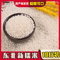 Northeast new glutinous rice 10 pounds white glutinous rice glutinous rice wholesale bulk farm sticky rice rice made with rice wine to make rice dumplings