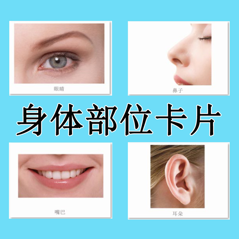 Body Parts Cards Language Developmental Delays Children Rehabilitation Training Aids Autism Autism Lone Disease Five Official Cognition-Taobao