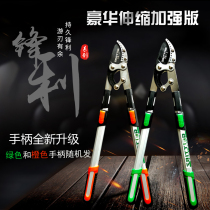 Import gardening prunes Branches Scissors Coarse Branches Cut of fruit trees Cut garden Vigorously Cut pruning branches Scissors High Branches