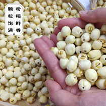 New goods do not need to soak dry goods Jianning lotus seeds coreless farm fresh handmade coreless white lotus dry goods 250g