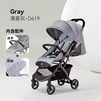 D619 Misty Grey