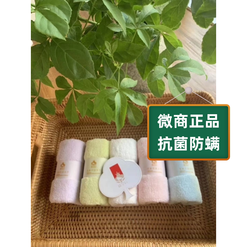 Sock Element Official Flagship Store Genuine 5 Pieces 100% Cotton Soft, Highly Absorbent, Antibacterial and Anti-Mite Cotton Queen Square Towel Sock Element Official Flagship Store Genuine 5 Pieces 100% Cotton Soft, Highly Absorbent, Antibacterial and Anti-Mite Cotton Queen Square Towel
