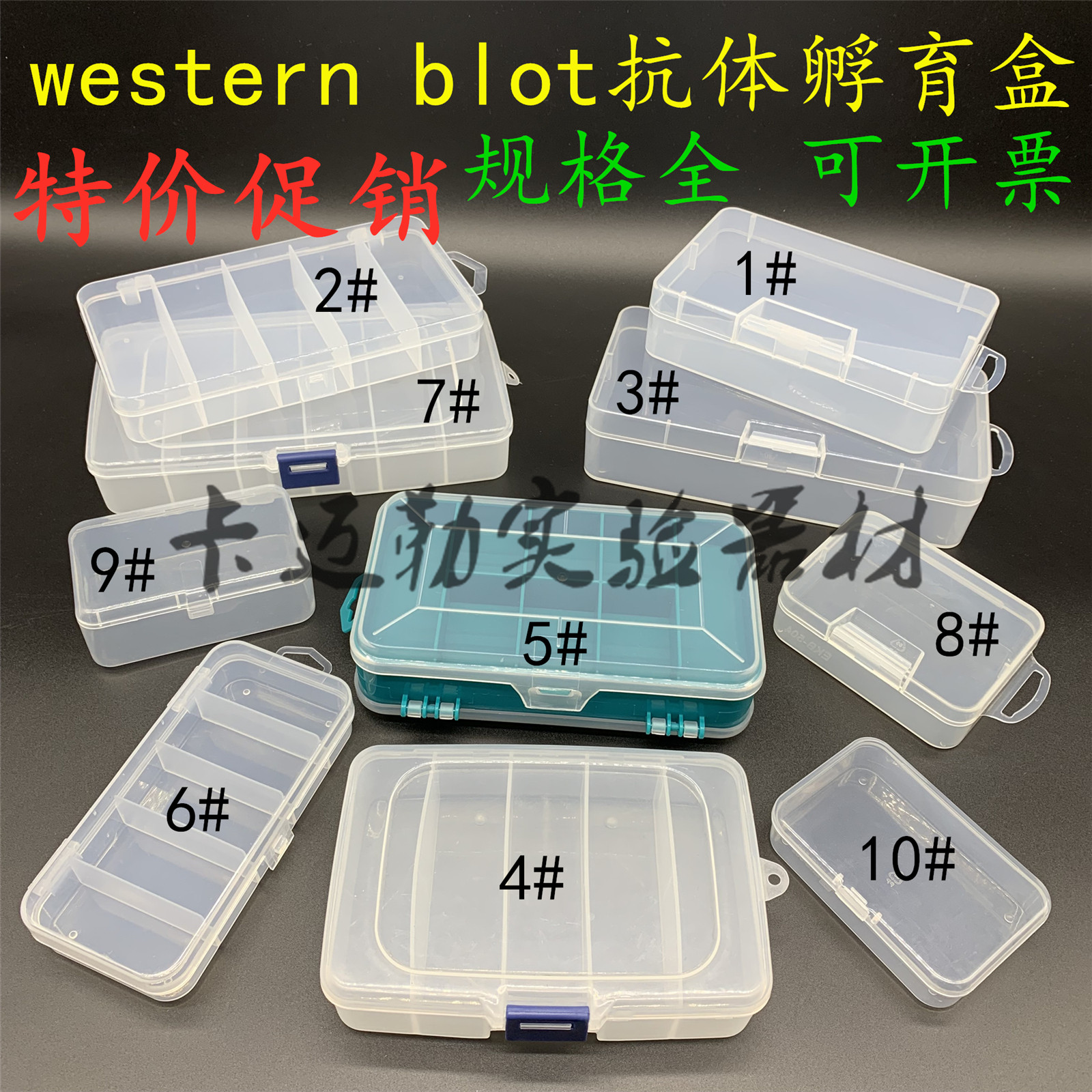 western blot antibody hatchbox wb antibody hatching immunity histrification wet box Various specs complete