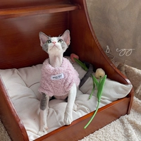 Таро Фиолетовый