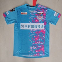 2021 New-style Departmentats of Birds Habitat Sandstone Rock Home Blue Jersey Day Job J League Short Sleeve Football Suit Custom Print