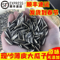 Original Taste Great Melon Seeds Sunflower Seeds Bulk 5 Kg Now Fried Now Sold New Goods Nuts Snacking Fried Goods Raw Cooked Thin Skin