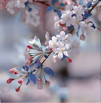 The Qingkang collection that cannot be missed is continuously updated to suggest a collection of Han clothes accessories Qingkura not to be changed without a change