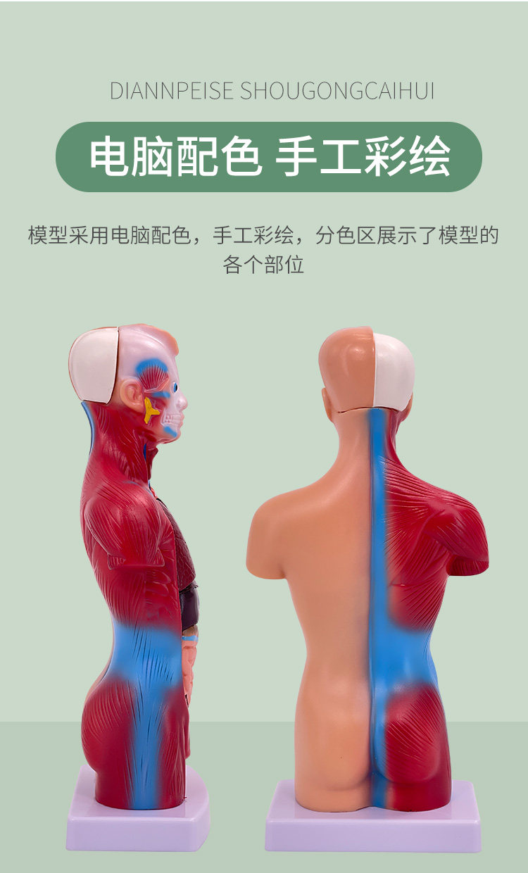 커스텀 대형 실리콘 매트 - ZSR, image size:750x1240