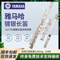Japans new Yamaha 16-hole silver-plated closed-hole 211SL silver-plated closed-hole 371B tail flute for beginners