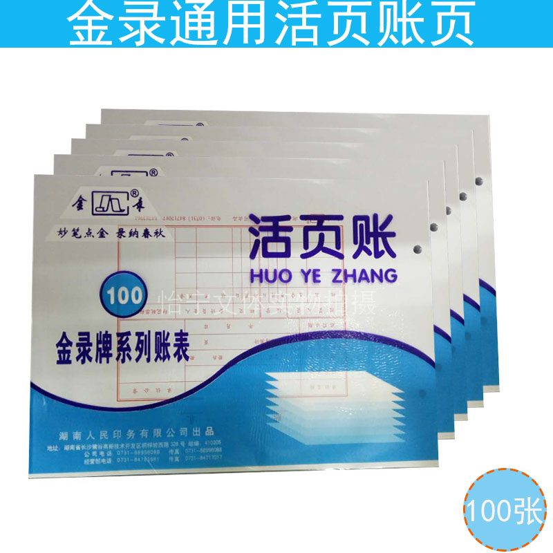 Loose-leaf accounting book detailed ledger financial records