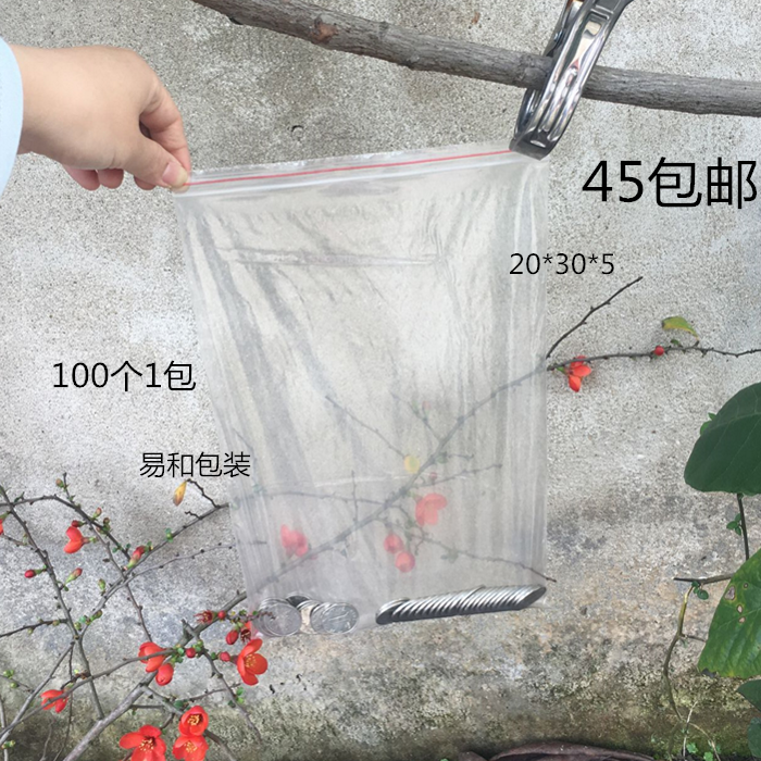 Brand new PE self-proclaimed bag 20 * 30 * 5 packing bag sealed bag closure bag food bag transparent bag cashier bag 100