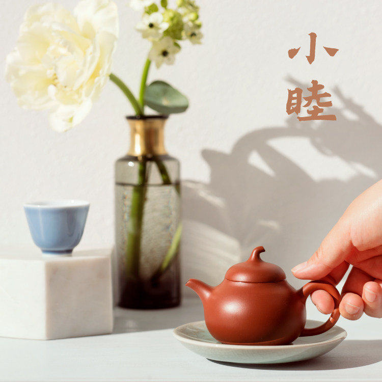 The mountain forest's Xi asks the tea small and red clay eggplant pot