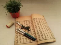 Yueguzhai Permanent 718 616 Подлинный студенческий студенческий студенческий студенческий студент