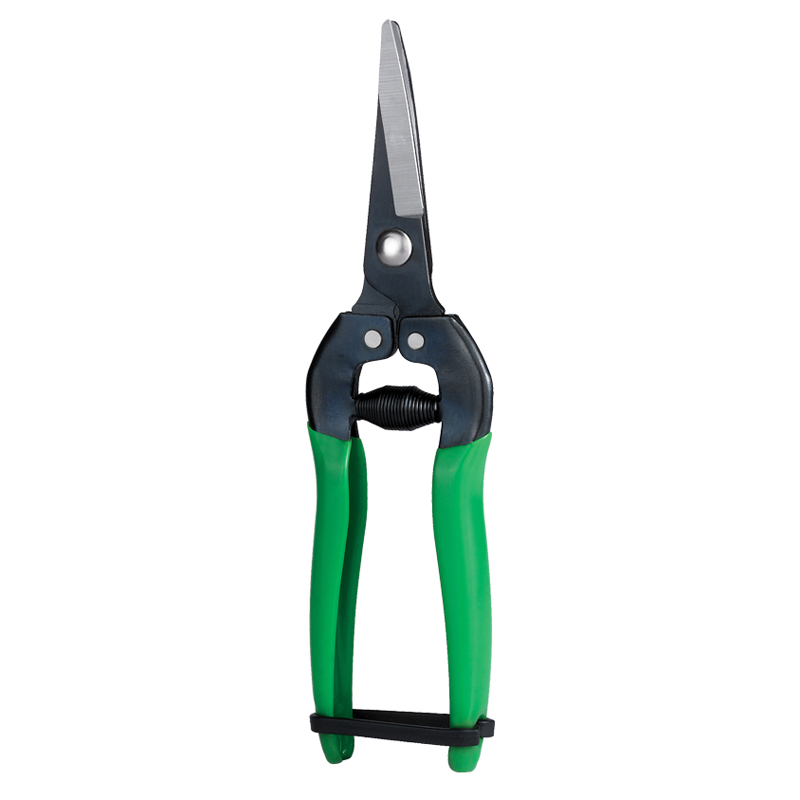 Daji Gardening Pruning Scissors Fruit Picking and Flowering Branches Thin Iron Thin Iron Wire Gold Jewelry Gardening Fruits
