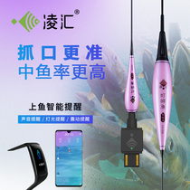 Linghui bite hook color change gravity induction intelligent float bold eye-catching high sensitivity shadow-free nano-night electron drift