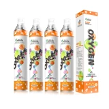 Сумка для бутылки с кислородом Портативные домохозяйственные пожилые люди используют беременные женские медицинские кислородные василь