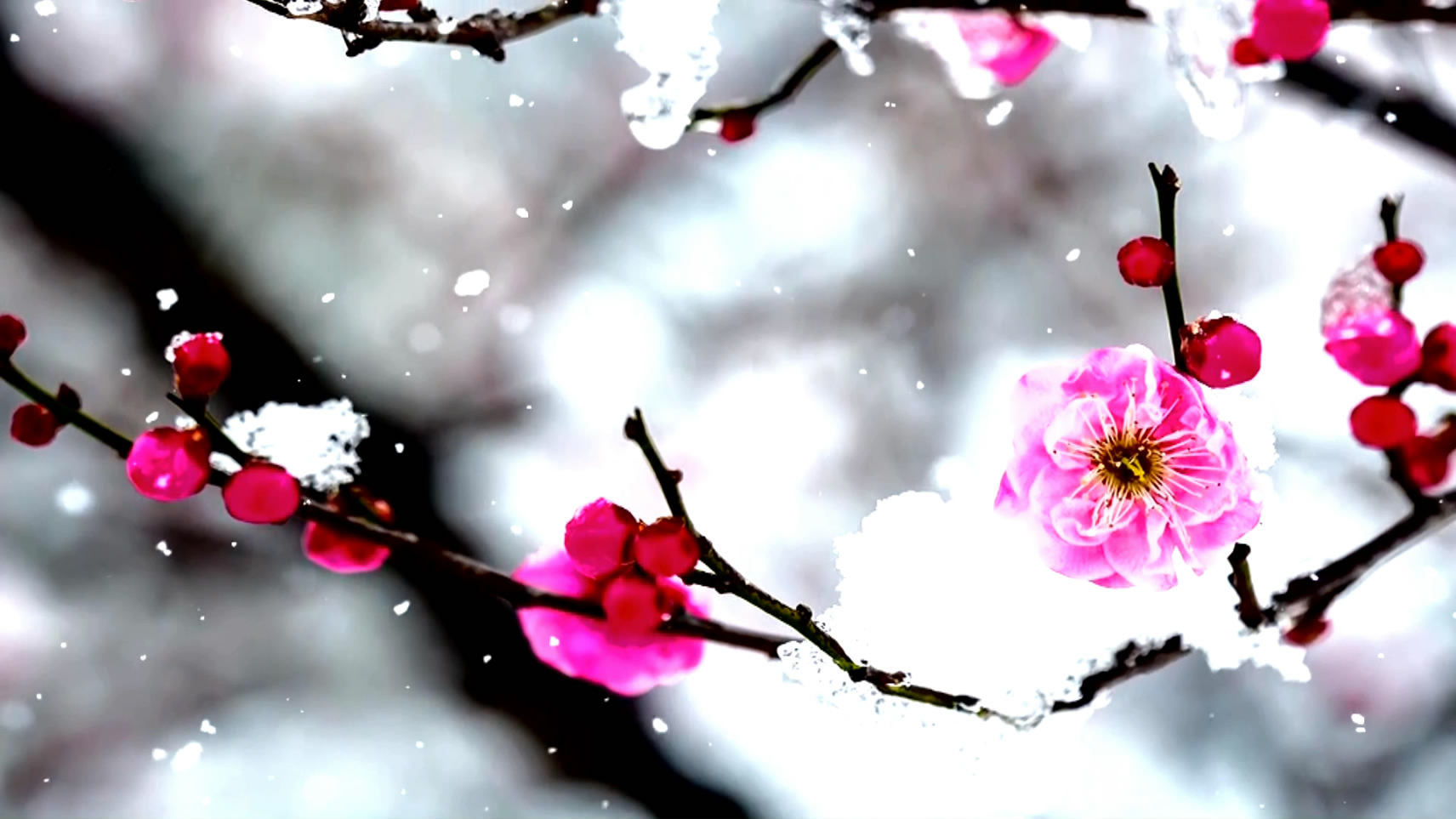 沁园春雪伴奏音乐朗诵背景视频LED背景视频-