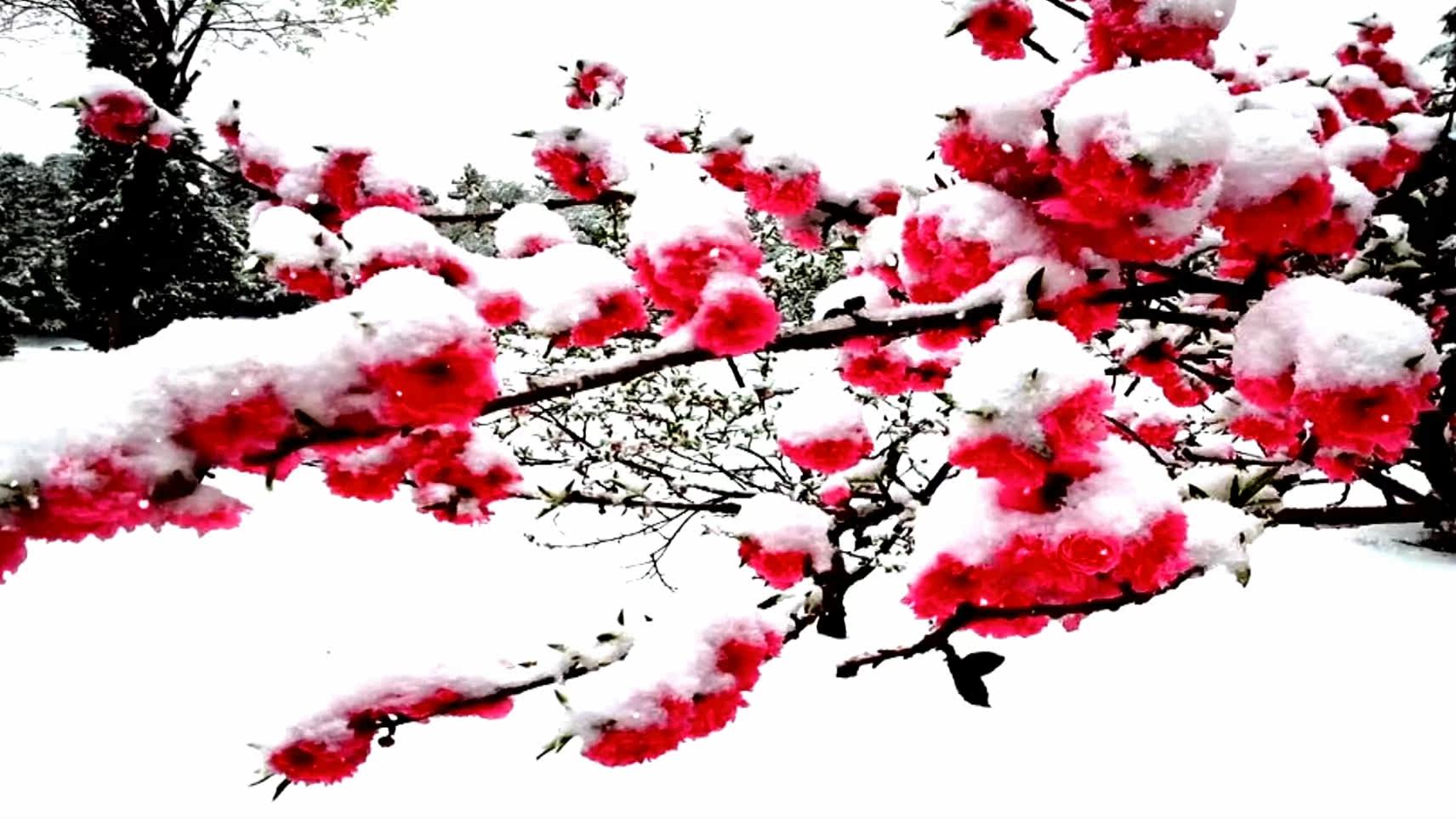 沁园春雪伴奏音乐朗诵背景视频LED背景视频-