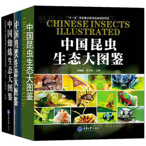 不印动物大图鉴摄影 中国蜘蛛生态大图鉴+中国鸟类生态大图鉴+中国昆虫生态大图鉴 套装全3册 物种百科全书鸟类研究图鉴书籍dt