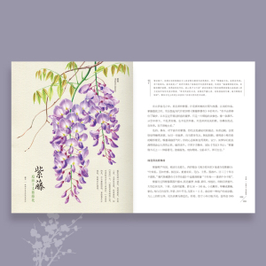 正版包邮 撷芳 植物学家手绘观花笔记 李梅著出离绘手绘自然书系32种植物花卉100幅精细手绘画带你感受文学之雅博物之趣书画之美