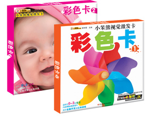 儿童早教卡识字卡识图卡 小笨熊视觉激发卡 套装全4册 婴儿颜色识别卡 0-3岁宝宝颜色视觉激发卡片 早教闪卡认知卡黑白卡+彩色卡se