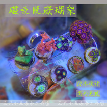 Coral Shelf Speps Broken Branches Button Breeding Rack Broken Limb Rack Coral Base T Base Broken Branches Magnetic