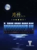 Товары от Titan Nation泰坦国度
