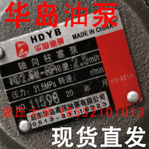 Qidong Huadao High Pressure Oil Pump Co. Ltd. HD2 5M-RP HD25M-RP HD5M-RP 5MCY 10M