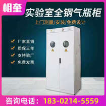 Primula laboratory gas cylinder cabinet Exhaust all-steel explosion-proof cabinet Gas safety cabinet All-steel gas cylinder storage cabinet