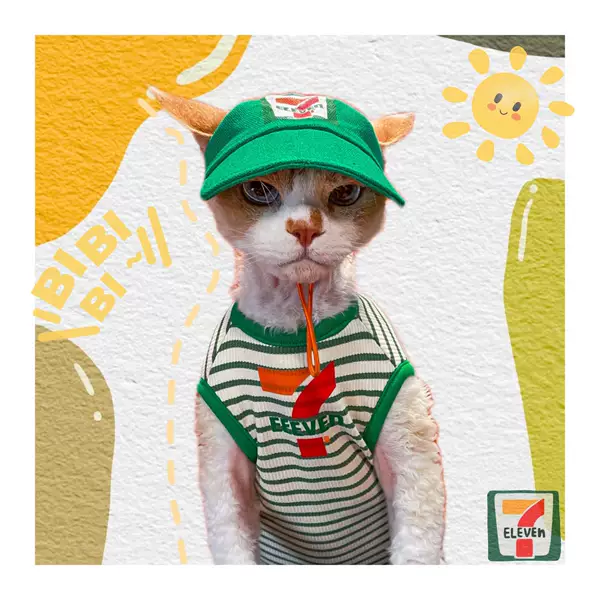 Товары от liuxin0304