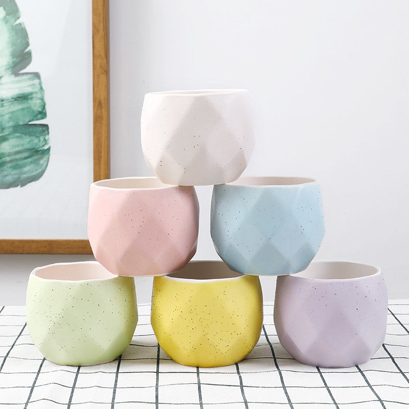 Marca dragon fleshy flower pot cactus green plant minimalist aesthetic tray was wind chassis ceramic small flower pot