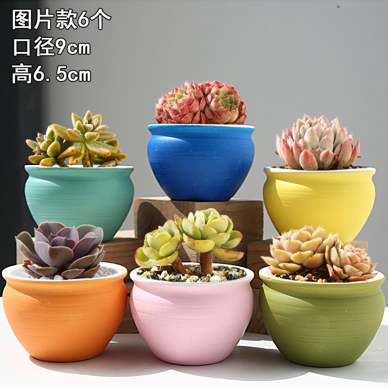 Fleshy coarse pottery flowerpot creative move combination suit meat meat the plants breathe freely small Fleshy flower pot