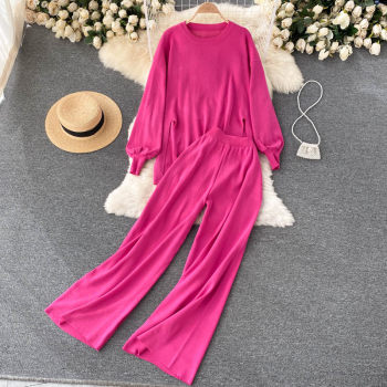 Hong Kong Style Lazy Loose Casual Suit Women's Autumn Design Sense Thin Irregular Top Wide Leg Pants Two Piece Set