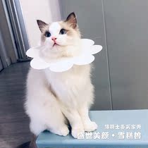 Mint Shido high facial value flower flower collar bib collar photo tool anti-licking anti-yellow chin